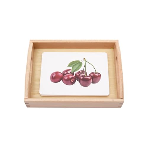 LLTCMYGS Montessori-Fruchtsprachlernsatz, Material zur Klassifikation von Früchten, Lehrmittel für den Sprachunterricht LLTCMYGS Montessori-Fruchtsprachlernsatz, Material zur Klassifikation von Früchten, Lehrmittel für den Sprachunterricht von LLTCMYGS