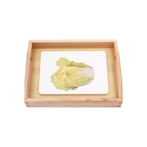 LLTCMYGS Montessori-Gemüse-Kognitive Zuordnungskarten Sprachlehrmittel, Montessori-Vorschulsprachmaterialien LLTCMYGS Montessori-Gemüse-Kognitive Zuordnungskarten Sprachlehrmittel, Montessori-Vorschulsprachmaterialien von LLTCMYGS