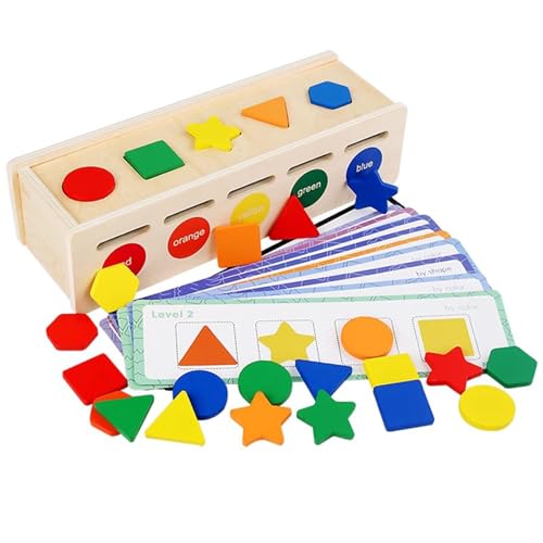 LLTCMYGS Montessori Geometrische Form, die zur Klassifizierung passt, Lernspielzeug für Kinder von LLTCMYGS