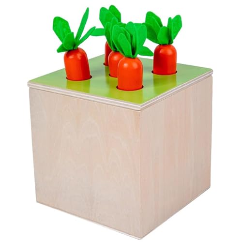 LLTCMYGS Montessori Kinder Karottenbox Lernspielzeug, frühkindliche Bildung 4-in-1 Formanpassung von LLTCMYGS