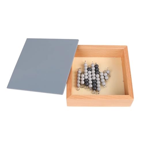 LLTCMYGS Montessori Mathe Perlen Spiel Spielzeug, Kinder Mathe Perlen Materialien,Grau LLTCMYGS Montessori Mathe Perlen Spiel Spielzeug, Kinder Mathe Perlen Materialien,Grau von LLTCMYGS