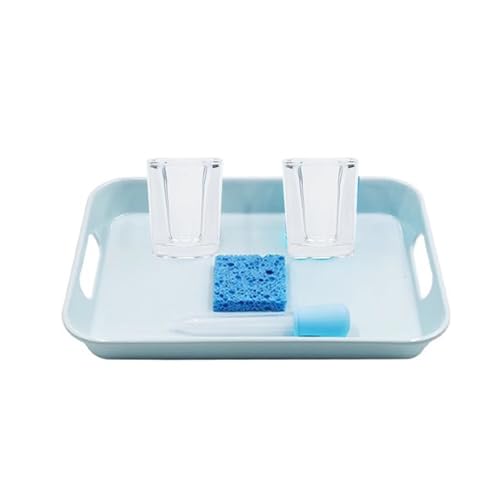 LLTCMYGS Montessori Tropfer Wasserübertragungsset Spielzeug, Vorschulmaterialien für Feinmotorik LLTCMYGS Montessori Tropfer Wasserübertragungsset Spielzeug, Vorschulmaterialien für Feinmotorik von LLTCMYGS
