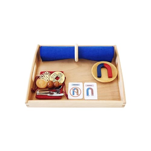 LLTCMYGS Montessori Wissenschaft Magnet Set Spielzeuge, Wissenschafts- und Kultur-Experimentspielzeuge LLTCMYGS Montessori Wissenschaft Magnet Set Spielzeuge, Wissenschafts- und Kultur-Experimentspielzeuge von LLTCMYGS