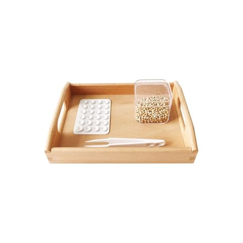 LLTCMYGS Montessori Zangen Bewegungs Trainingsset Spielzeuge, Vorschul Feine Motorik Entwicklung Lehrhilfen LLTCMYGS Montessori Zangen Bewegungs Trainingsset Spielzeuge, Vorschul Feine Motorik Entwicklung Lehrhilfen von LLTCMYGS