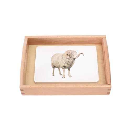 LLTCMYGS Tierkognitionsklassifikationssprachenlehrhilfensatz, Montessori Tierkarten-Sprachvorschubmaterialien LLTCMYGS Tierkognitionsklassifikationssprachenlehrhilfensatz, Montessori Tierkarten-Sprachvorschubmaterialien von LLTCMYGS