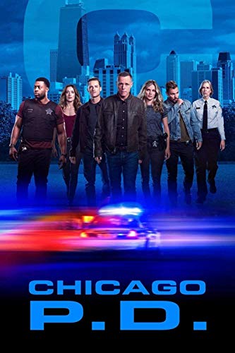 1000-teilige Puzzles für Erwachsene Chicago TV-Show Poster Unterhaltungspuzzles Intellektuelle Dekompressionsspielzeug 3D-Druck HD DIY Geburtstagsgeschenk26x38cm von LNTYW