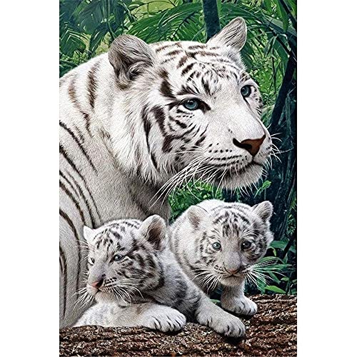 1000-teiliges Puzzle für Erwachsene – Spiele für Erwachsene, Jugendliche und Kinder – DREI Tiger, 1000-teiliges Puzzle für Erwachsene, 26 x 38 cm von LNTYW