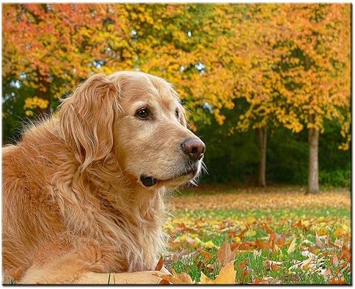 Papierpuzzle für Erwachsene 1000 Teile DIY Großer Hund Kunst Golden Retriever Herbstblätter 26x38cm von LNTYW