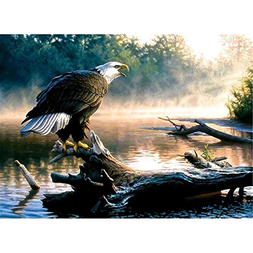 Puzzle „Adler auf dem Boden“, 2000 Teile, für Kinder und Erwachsene, 70X100cm von LNTYW