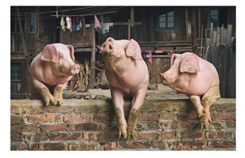 Puzzle 1000 Teile, DREI Schweine, Lernspielzeug für Erwachsene, zur Freizeitunterhaltung für Kinder, Weihnachten, 38 x 52 cm von LNTYW