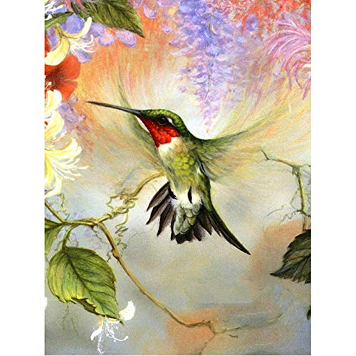 Puzzle 1000 Teile für Erwachsene, Papierpuzzle, Kolibri-Tierpuzzle, Spielzeug für Erwachsene und Kinder, Puzzle-Bastelset, Intelligenzspiel zum Stressabbau, 38 x 26 cm von LNTYW