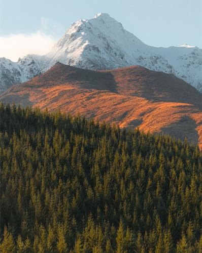 Puzzle 1000 Teile für Erwachsene, schwierige und schwere Puzzles für Frauen und Männer-Berge, Gipfel, Fichte, 50 x 70 cm von LNTYW