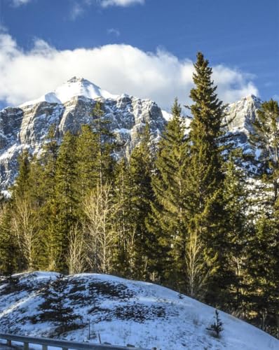 Puzzle 1000 Teile für Erwachsene – Berge, Bäume, Landschaft, 50 x 70 cm von LNTYW