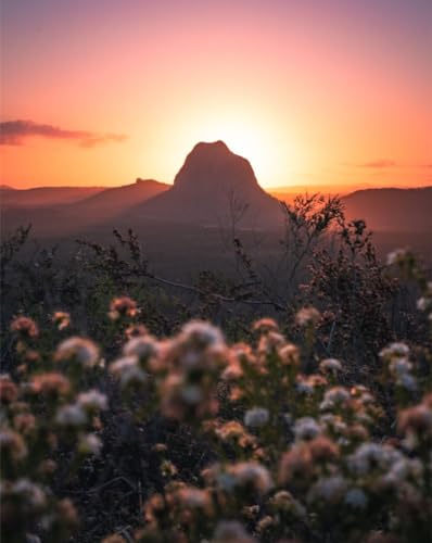 Puzzle 1000 Teile für Erwachsene – Berge, Felsen, Blumen, 50 x 70 cm von LNTYW