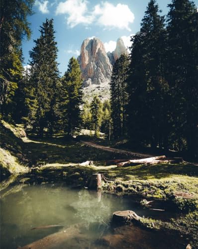 Puzzle 1000 Teile für Erwachsene – Berge, Felsen, Fluss, 50 x 70 cm von LNTYW