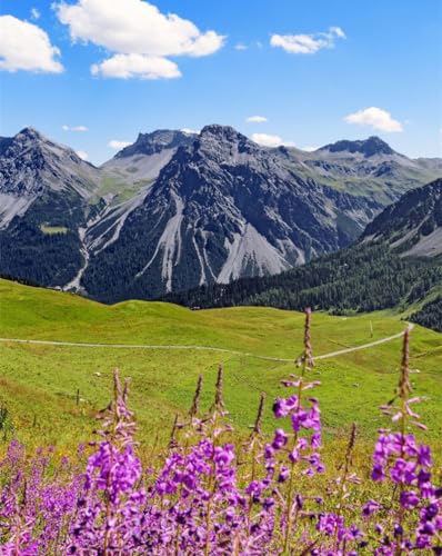 Puzzle 1000 Teile für Erwachsene – Berge, Gipfel, Blumen, 50 x 70 cm von LNTYW