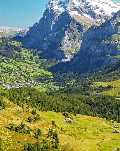 Puzzle 1000 Teile für Erwachsene - Berge, Relief, Bäume 26x38cm von LNTYW