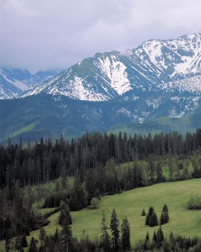 Puzzle 1000 Teile für Erwachsene und Kinder ab 10 Jahren – Berge, Bäume, Natur, 26 x 38 cm von LNTYW