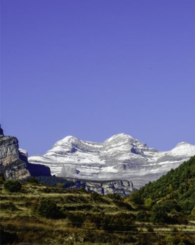 Puzzle 1000 Teile für Erwachsene und Kinder ab 10 Jahren – Berge, Relief, Bäume, 26 x 38 cm von LNTYW