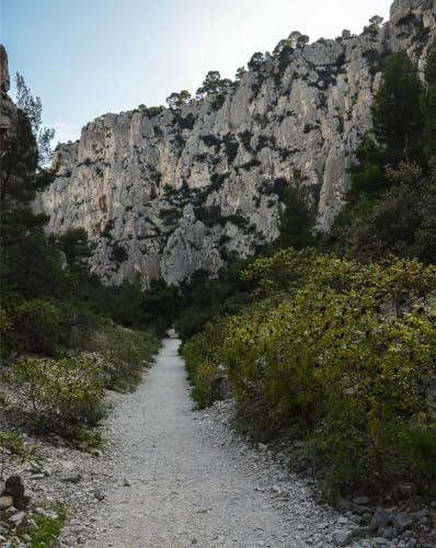 Puzzle 2000 Teile für Erwachsene – Berge, Bäume, Pfad 70 x 100 cm von LNTYW