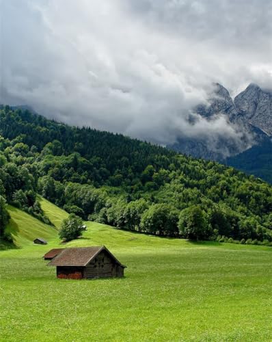 Puzzle für Erwachsene, 1000 Teile, Geschenke für Berge, Ebenen, Hütten, 50 x 70 cm von LNTYW