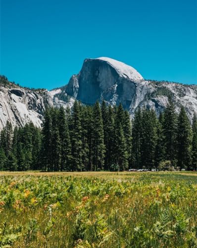 Puzzle für Erwachsene, 1000 Teile, Geschenke für Berge, Felsen, Fichte, 50 x 70 cm von LNTYW