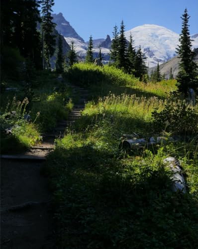 Puzzle für Erwachsene, 1000 Teile, Geschenke für Berge, Pfad, Bäume, 50 x 70 cm von LNTYW