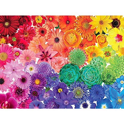 Puzzle für Erwachsene 1000 Teile Regenbogenblume, anspruchsvolle Spiele für die Familie, Heimdekoration, Geschenke, 50 x 70 cm von LNTYW