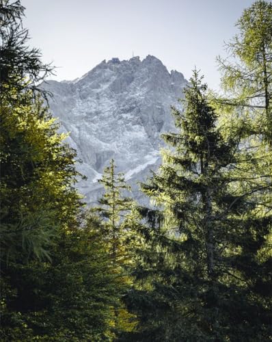 Puzzle für die ganze Familie, 2000 Teile, Geschenke für Erwachsene, Berge, Felsen, Fichte, 70 x 100 cm von LNTYW