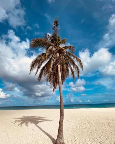 Puzzle für die ganze Familie, 2000 Teile, Geschenke für Erwachsene, Palme, Baum, Sand, 70 x 100 cm von LNTYW