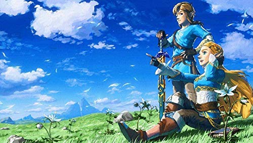 Puzzles für Erwachsene 1000 Teile Legend of Zelda Puzzles für Kinder Lernspielzeug Intellektuelles Spiel Geschenk Teens DIY Home Entertainment Spielzeug 50x70cm von LNTYW