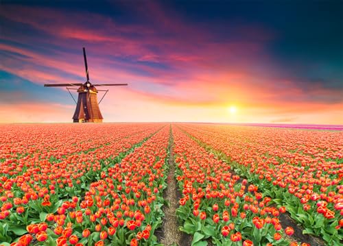 Windmühlen und Tulpen Puzzle für Erwachsene 1000 Puzzles Holland Holländische Landschaft 1000-teiliges Puzzle für Erwachsene 38 x 52 cm von LNTYW