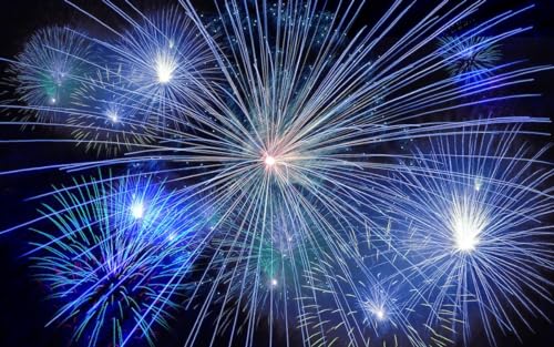 Wunderschönes Feuerwerk – 1000-teiliges Papierpuzzle – Bodenunterhaltungspuzzle für Erwachsene und Jugendliche 50 x 70 cm von LNTYW