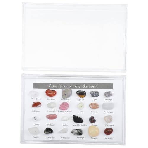 LOLIPPYY 1 Schachtel Teiliges Mineralproben Natürlichem Kristall und Jaspis Unregelmäßige Steine als Dekorative Sammlerstücke für Schreibtisch und Wohnraum Geschenk für Sammler und LOLIPPYY 1 Schachtel Teiliges Mineralproben Natürlichem Kristall und Jaspis Unregelmäßige Steine als Dekorative Sammlerstücke für Schreibtisch und Wohnraum Geschenk für Sammler und von LOLIPPYY