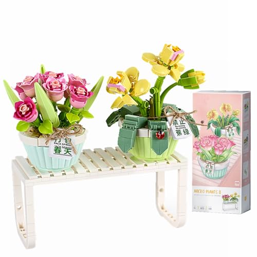 LOTOLO Mini 2 in 1 Bonsai Anlage Bausteine Set,Simulation Partikel Blume Sukkulente Botanische Sammlung Bau Ziegel Spielzeug,Home Decor (Frühling) von LOTOLO