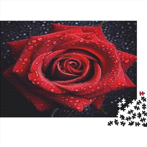 Hölzern Puzzle 2023, Adventskalender Puzzle 500 Hölzern Teile Weihnachtskalender 2023 Männer Frauen Geschenke Jigsaw Puzzle Adventskalender Geschenke - 3D Red Rose von LOUSON