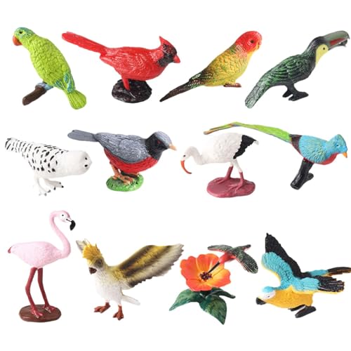 LOVIVER 12x Realistische Tier Modell Miniatur Vogel Figuren Set Miniatur Simulation Tier Figuren für Kinder Spielzeug Klassenzimmer Belohnungen von LOVIVER