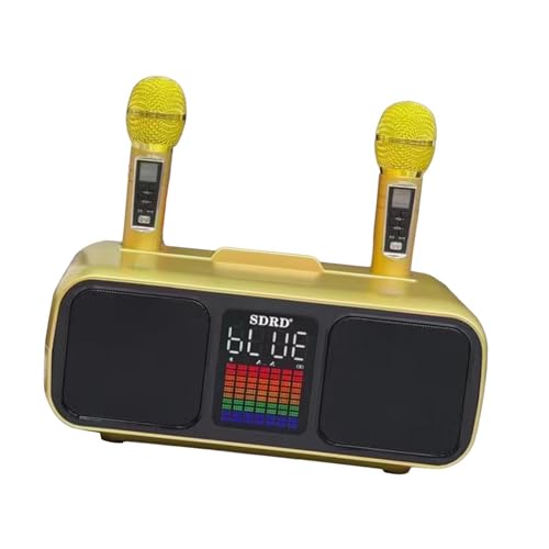 LOVIVER Karaoke-Maschine, Karaoke-Lautsprecher, Geschenk für Erwachsene, Unterhaltung, Karaoke-Mikrofone für Partys, Hochzeiten, Innenräume, Familienurlaub, Gold von LOVIVER