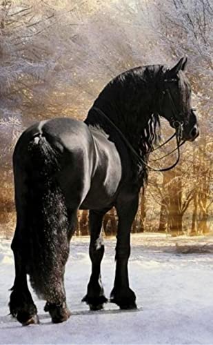 Puzzle für Erwachsene, 2000 Teile, Pferd, Tier, Basteln, Lernspielzeug, intellektuelles Spiel, Geschenk, 70 x 100 cm Puzzle für Erwachsene, 2000 Teile, Pferd, Tier, Basteln, Lernspielzeug, intellektuelles Spiel, Geschenk, 70 x 100 cm von LQKADBCXT