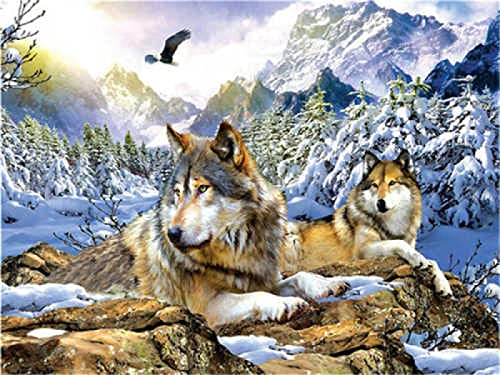Puzzle für Erwachsene, 2000 Teile, Wolf, Tier, Basteln, Lernspielzeug, intellektuelles Spiel, Geschenk, 70 x 100 cm Puzzle für Erwachsene, 2000 Teile, Wolf, Tier, Basteln, Lernspielzeug, intellektuelles Spiel, Geschenk, 70 x 100 cm von LQKADBCXT