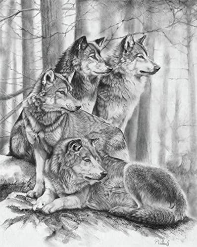 Puzzle für Erwachsene, 2000 Teile, Wolf, Tier, Basteln, Lernspielzeug, intellektuelles Spiel, Geschenk, 70 x 100 cm Puzzle für Erwachsene, 2000 Teile, Wolf, Tier, Basteln, Lernspielzeug, intellektuelles Spiel, Geschenk, 70 x 100 cm von LQKADBCXT
