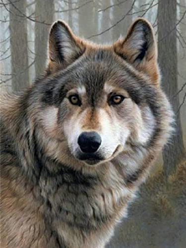 Puzzle für Erwachsene, 2000 Teile, Wolf, Tier, Basteln, Lernspielzeug, intellektuelles Spiel, Geschenk, 70 x 100 cm Puzzle für Erwachsene, 2000 Teile, Wolf, Tier, Basteln, Lernspielzeug, intellektuelles Spiel, Geschenk, 70 x 100 cm von LQKADBCXT
