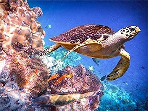 Schildkröten-Puzzle für Erwachsene, 1000 Teile, geeignet als Wandkunst, Heimdekoration, Geschenk, 50 x 70 cm Schildkröten-Puzzle für Erwachsene, 1000 Teile, geeignet als Wandkunst, Heimdekoration, Geschenk, 50 x 70 cm von LQKADBCXT