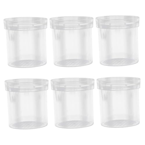 LRXIYODE 6 Stück Teiliges Insekten Beobachtungsset Fach Lupenbecher Transparentes Kunststoff Käfig für Luftdurchlässige Insekten Dose zum Forschen und Entdecken Draußen LRXIYODE 6 Stück Teiliges Insekten Beobachtungsset Fach Lupenbecher Transparentes Kunststoff Käfig für Luftdurchlässige Insekten Dose zum Forschen und Entdecken Draußen von LRXIYODE