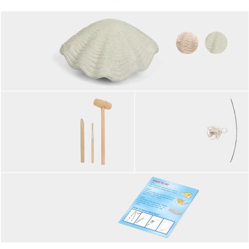 LRXIYODE DIY Perlen Armband Bastelset mit Perlen aus Muscheln Pädagogisches Grabspielzeug Kreativität und Feinmotorik für Mädchen Ab Jahren LRXIYODE DIY Perlen Armband Bastelset mit Perlen aus Muscheln Pädagogisches Grabspielzeug Kreativität und Feinmotorik für Mädchen Ab Jahren von LRXIYODE