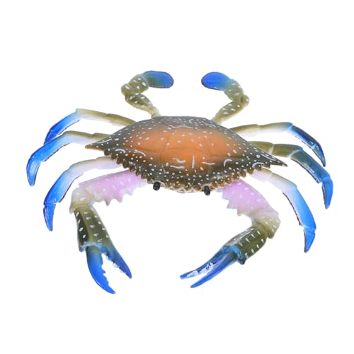 LRXIYODE Farbenfrohes Krabbenmodell aus Hochwertigem Kunststoff Realistische Meeresbewohner Deko für Robustes Lernspielzeug Kreativität und Vorstellungskraft im Indoor und Outdoor Bereich LRXIYODE Farbenfrohes Krabbenmodell aus Hochwertigem Kunststoff Realistische Meeresbewohner Deko für Robustes Lernspielzeug Kreativität und Vorstellungskraft im Indoor und Outdoor Bereich von LRXIYODE