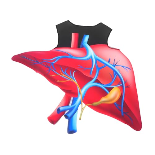 LRXIYODE Halloween Herz Kostüm Realistisches Biologie Outfit Leichtes Schwamm Material Weiches Cosplay Kostüm Für Bühne Party Rollenspiel Valentinstag Liebe Thema LRXIYODE Halloween Herz Kostüm Realistisches Biologie Outfit Leichtes Schwamm Material Weiches Cosplay Kostüm Für Bühne Party Rollenspiel Valentinstag Liebe Thema von LRXIYODE