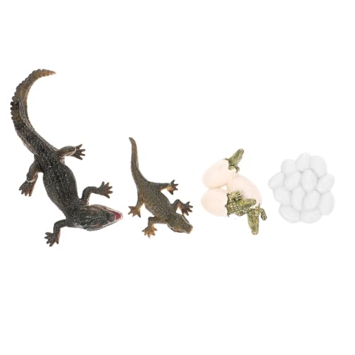 LRXIYODE Pädagogisches Krokodil Wachstumszyklus Modell Lernspielzeug Realistische Tierfiguren für Kreative Entwicklung und Anschauliche Bildung zu Hause Klassenzimmer LRXIYODE Pädagogisches Krokodil Wachstumszyklus Modell Lernspielzeug Realistische Tierfiguren für Kreative Entwicklung und Anschauliche Bildung zu Hause Klassenzimmer von LRXIYODE