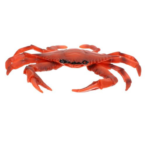 LRXIYODE Realistisches Krabbenmodell Meerestier Figur Deko für Ab Jahren Langlebiges Umweltfreundliches Material Detailgetreue Oberfläche für Zuhause Büro Restaurant Dekoration LRXIYODE Realistisches Krabbenmodell Meerestier Figur Deko für Ab Jahren Langlebiges Umweltfreundliches Material Detailgetreue Oberfläche für Zuhause Büro Restaurant Dekoration von LRXIYODE