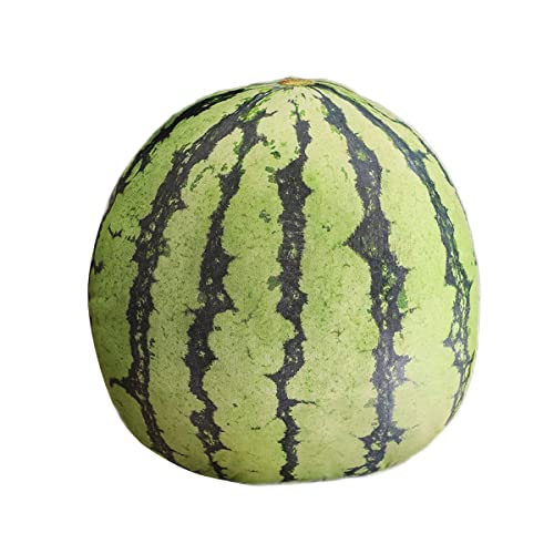 LSSHPZLFC Niedliche, Mit Früchten Gefüllte Kissen, Kinderkissen, Gefüllte Wassermelonen-Plüschtiere, Superweiche Mädchenkissen, Ananas-Durian-Kissen, Sitzcouch-Ornamente(Watermelon) von LSSHPZLFC